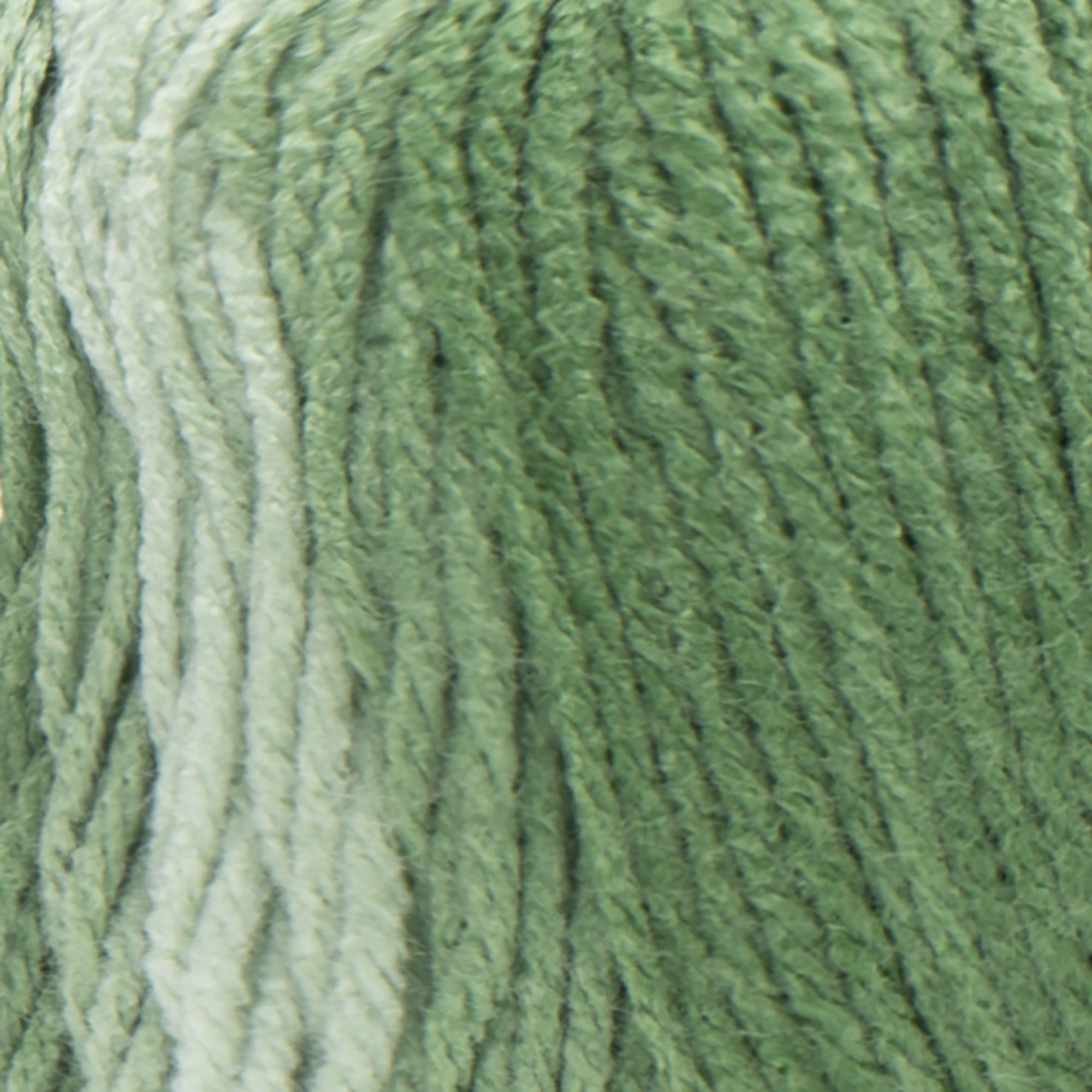 Red Heart® Super Saver Ombre™ #4 Worsted Acrylic Yarn, Green apple 10oz/283g #482 Yards (2 Pack)