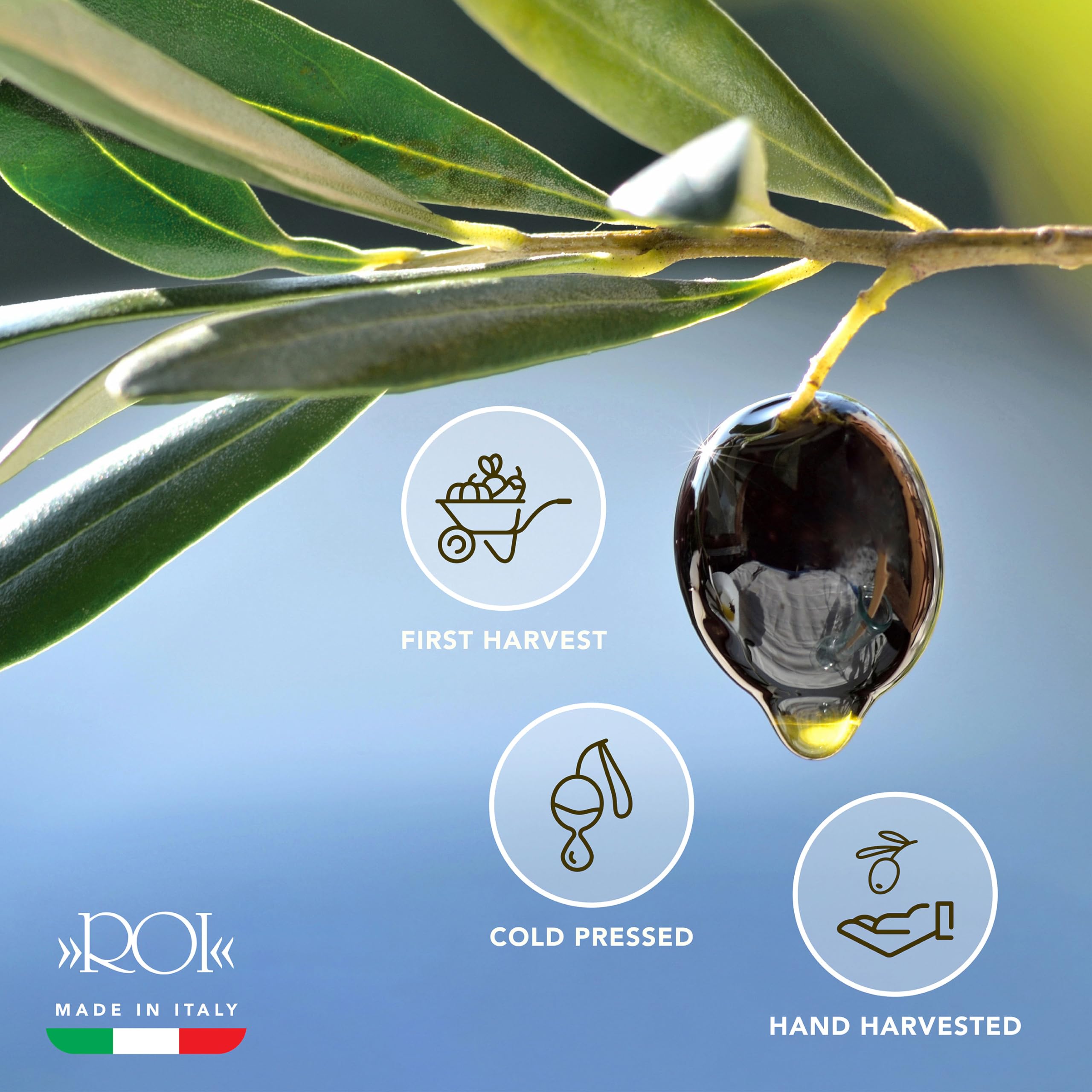 ROI Extra Virgin Olive Oil from Italy - Cucina Ligurian, First Cold Pressed, Pure, Polyphenol Rich Italian EVOO - 34 fl oz (1 Liter)