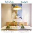 thumbnail image 5 of Viribright 60-Watt Equivalent A19 E26 LED Light Bulb, 6500K Daylight (12-Pack), 5 of 10