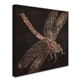 thumbnail image 3 of Trademark Fine Art "Dragonfly" Canvas Art by Color Bakery, 3 of 4