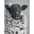 thumbnail image 2 of Redman, Suzi 15x18 Gold Ornate Wood Framed with Double Matting Museum Art Print Titled - Sheep, 2 of 4