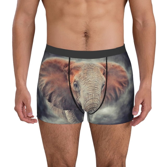 Balery Elephant in Smoke Calzoncillos bóxer para hombre, ropa interior de algodón suave y transpirable con cinturilla de nailon-X-Large