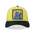 thumbnail image 2 of Gorra Goorin Bros Unisex Labrador 1011037YEL Amarillo Unitalla, 2 of 6