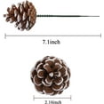 thumbnail image 2 of 10/20/30 Pieces 2 Inch Christmas Natural Pine Cones Snow Tipped Natural Pine Cone with 5 Inch Green Wired Pick for Christmas Tree Decoration Home Party Holiday Decor, 2 of 7