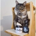 thumbnail image 6 of Hellopets Catbuzz, Premium and Organically Grown Catnip for Cats, 6 of 7