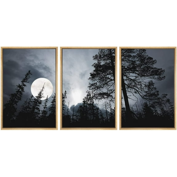 wall26 - Full Moon in The Forest Framed Canvas Art Wall Art - 24"x36"x3 Natural