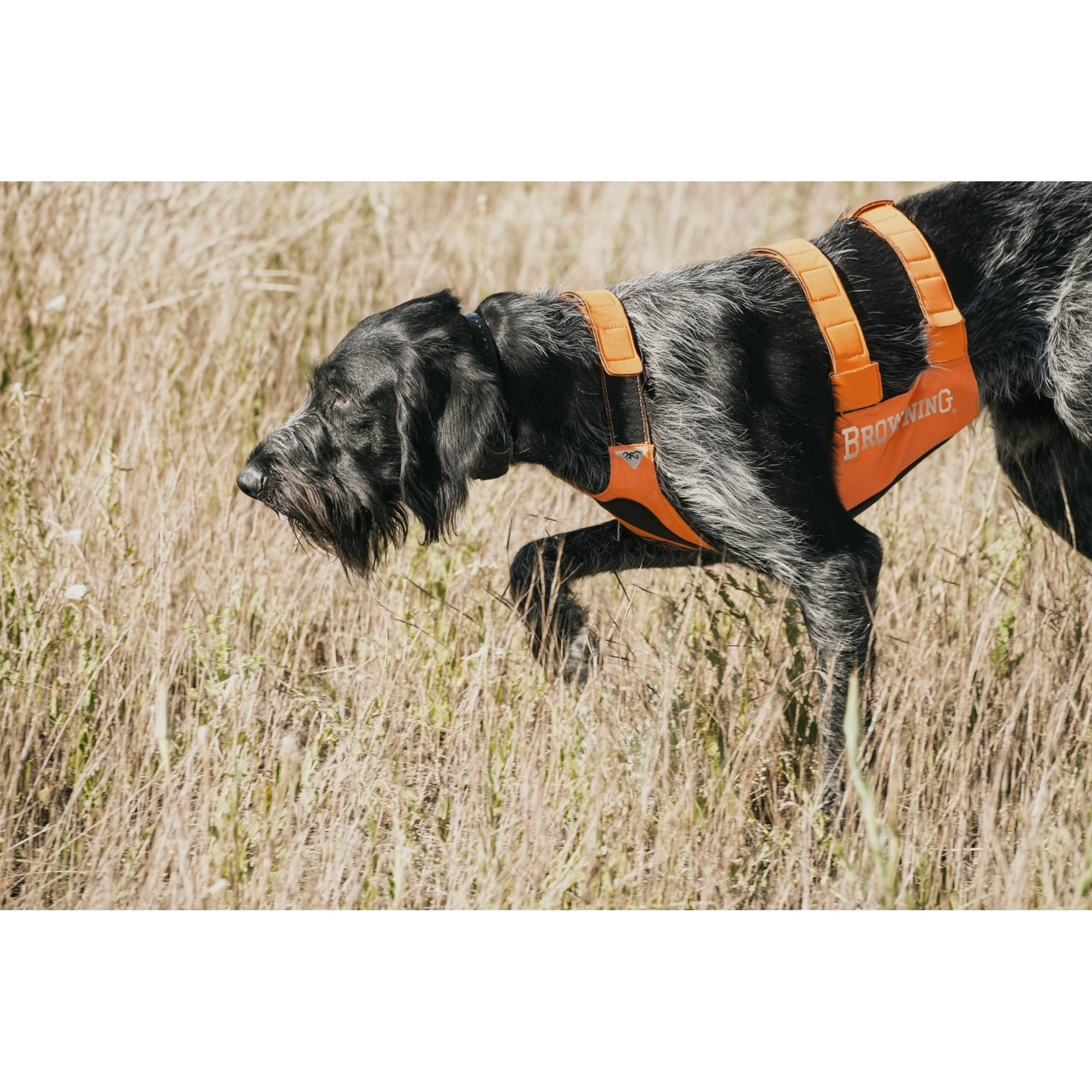 Dog Vest Murdoch's U2013 Browning Chest Protection Vest Dog