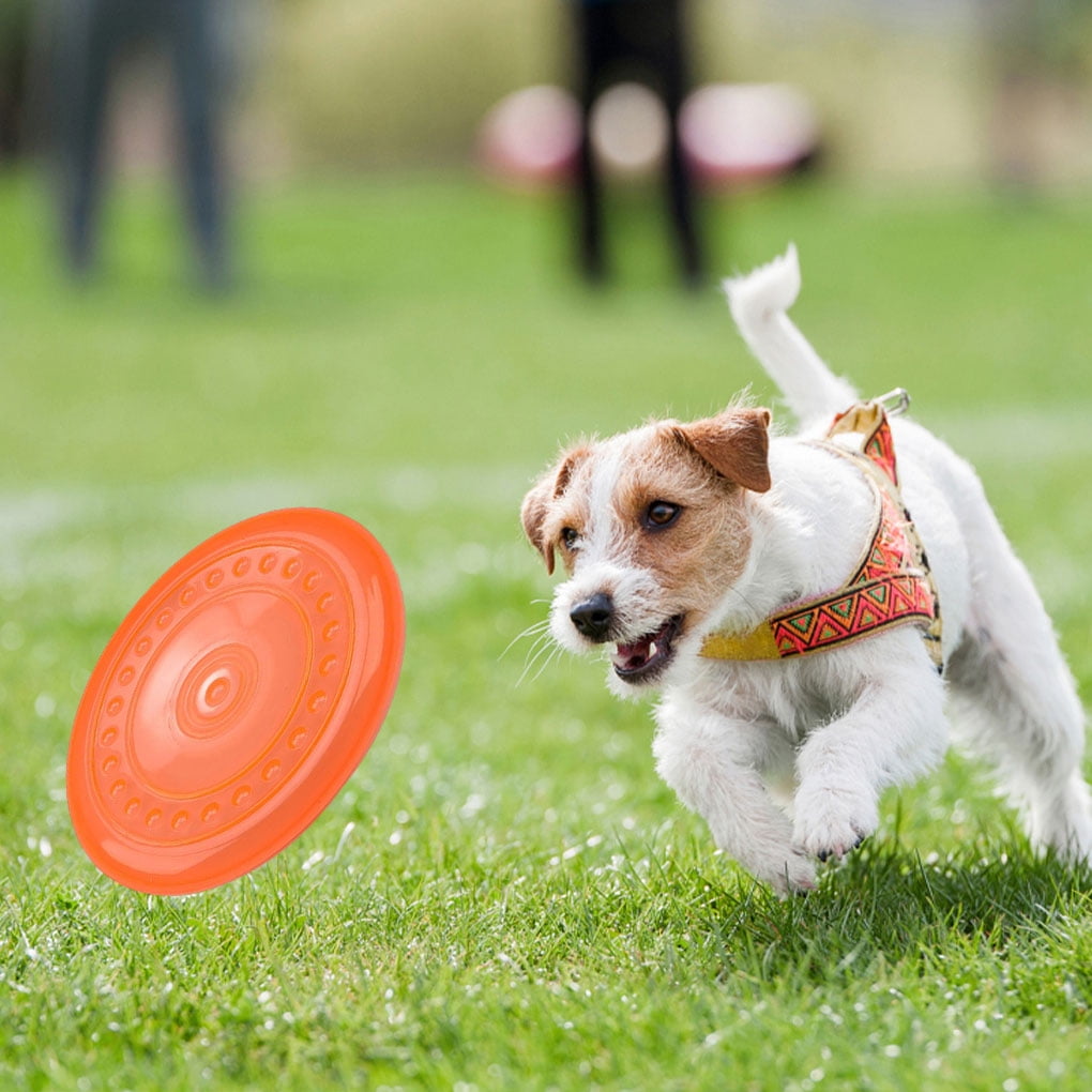 Babydream1 Pet Toy Interactive Outdoor Backyard Safety Funny Park Funny Game Play Training Flying Disk Portable Sport Exercise Toys Pets Blue M Other