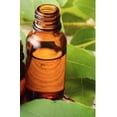 thumbnail image 1 of Peppermint Essential Oil (Supreme) 100% Pure - 2 Oz, 1 of 1