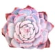 thumbnail image 5 of Cojín de peluche de 20 pulgadas, decorativo, para sofá, cojines, juguetes de peluche Violeta, 5 of 9