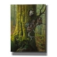 thumbnail image 1 of Epic Graffiti 'Tengmalms Owls' by Harro Maass, Canvas Wall Art, 12"x16", 1 of 8