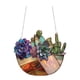 thumbnail image 1 of Suculenta acrílica para colgar en la ventana Decoración artística acrílica para colgar en la ventana, 1 of 7