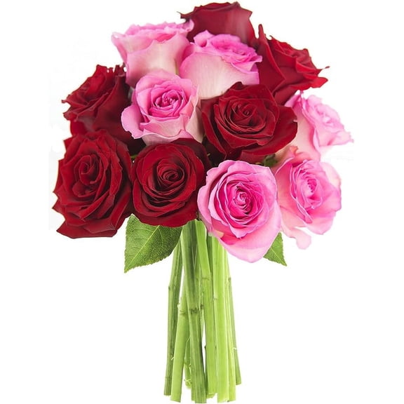 KaBloom : Bouquet of 12 Red and Pink Roses Next-Day Delivery, Gift for Every Occasion.