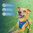 thumbnail image 3 of Voyager Step-in Air Dog Harness - All Weather Mesh Step in Vest Harness for Small and Medium Dogs and Cats by Best Pet Supplies - Harness (Turquoise), M (Chest: 16-18"), 3 of 5