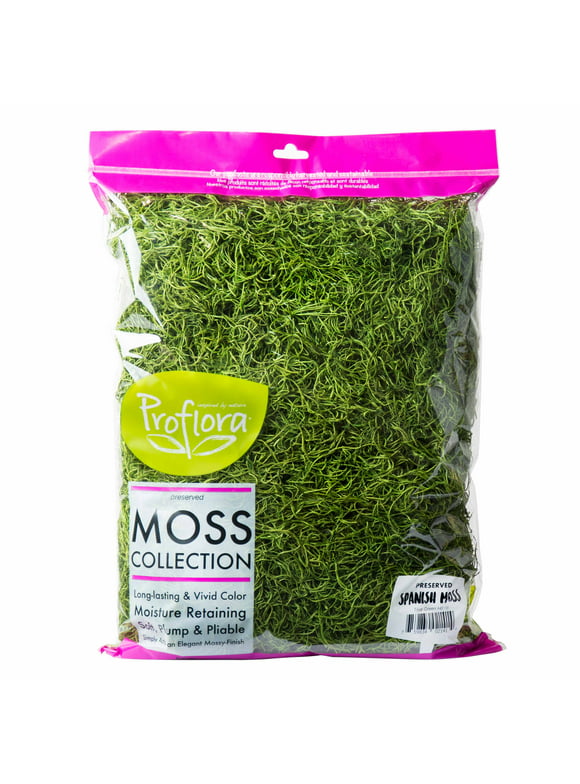 ProFlora Spanish Moss True Green, 16oz Floral Arranging Supplies