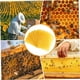thumbnail image 4 of Hojas de de Abejas 10 Piezas Hojas de Base de de Abejas Base de para Marcos de Abejas Hojas de Panal Natural Hojas de de Abejas, 4 of 5