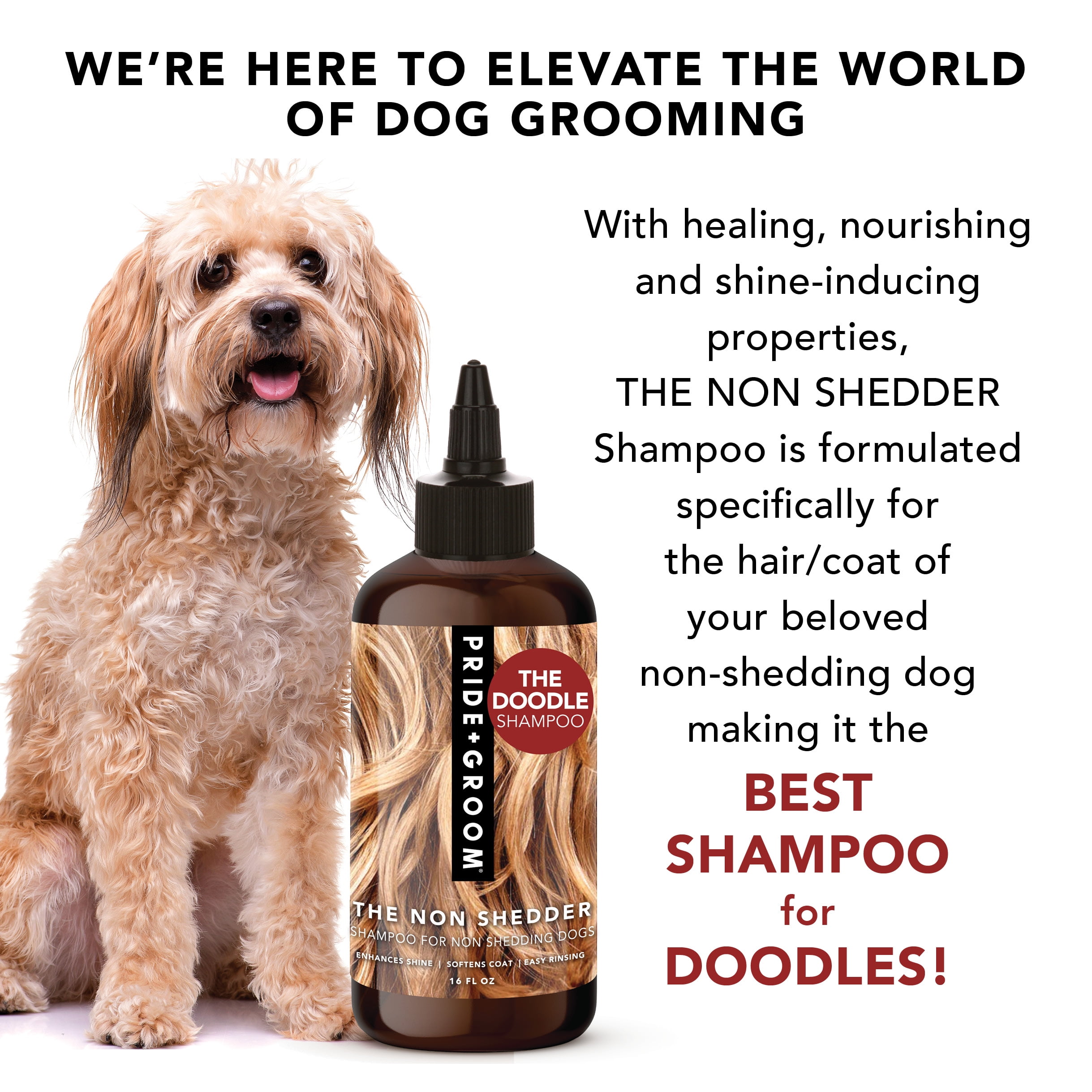 Dog Grooming Newfoundland Dog Shedding Newfoundland Grooming Short