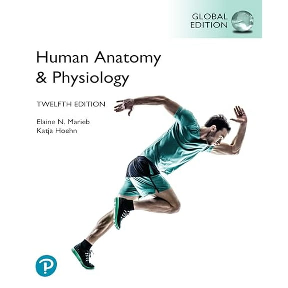 Pre-Owned Human Anatomy & Physiology, Global Edition Paperback