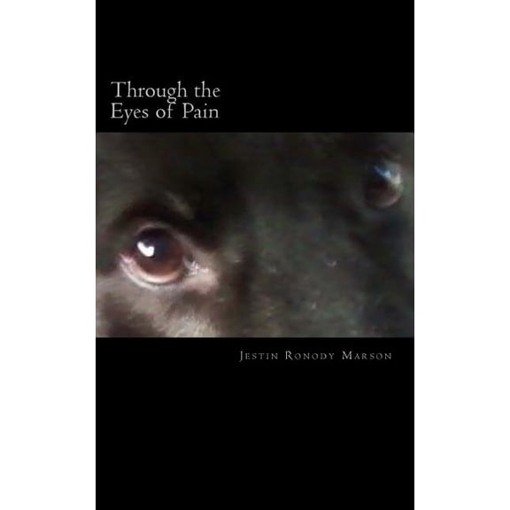 Through the Eyes of Pain: Love bears all things (Paperback)