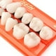 thumbnail image 4 of Modelo De Dientes De Resina Dentaduras Duraderas Dientes Postizos Universales Resi 28 Unids/Set Vogacara  CE003654-00, 4 of 6