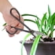 thumbnail image 4 of Cortador de tijeras de podar, herramienta de mano para podar ramas de jardinería Namotu CPB-US-DYP402, 4 of 5