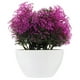 thumbnail image 1 of GOOHOCHY Flores artificiales en maceta, plantas artificiales, flores artificiales, decoración en maceta para el hogar, 1 of 7