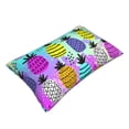 thumbnail image 3 of Haiem Pillowcase for Hair and Skin Queen - Graffiti Pineapples Printed Soft Pillowcase with Envelope Closure-14"x20", 3 of 9
