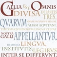 thumbnail image 2 of CafePress - Ancient Colors Gallia Body Suit - Baby Light Bodysuit, Size Newborn - 24 Months, 2 of 4