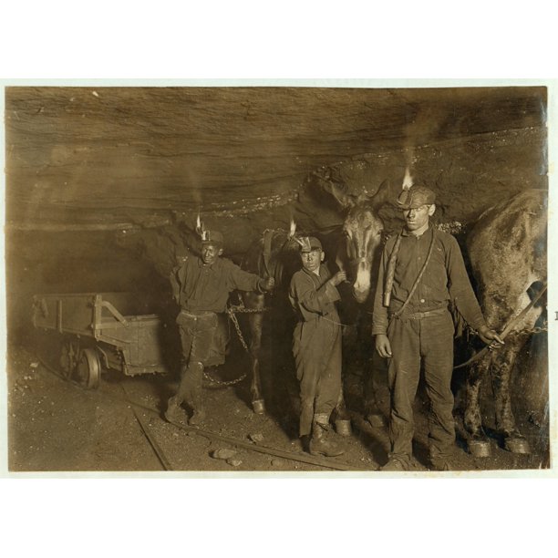 Drivers and Mules, Gary, W. Va., Mine, Where much of the mining and