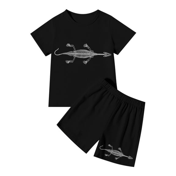 FYDUU Boys Fashion Clothes Set Boys Outfits & Sets Short Sleeve Dinosaur Print T Shirts And Shorts Outfit Kids Casual School Wear 3-4 Years