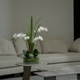 thumbnail image 4 of 29.5" White Orchid Arrangement in a Glass Vase| Real Touch White Moth Phalaenopsis Orchids by Fiori Sempre, 4 of 7
