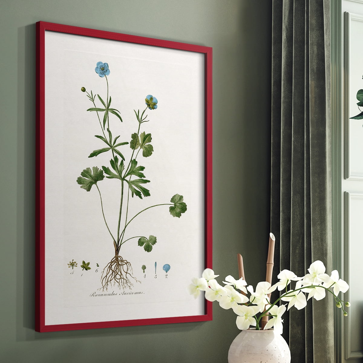 Buttercup Study Framed Print in Red Solid Wood Framed Print No Nail Hanging