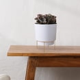 thumbnail image 2 of Bloem Hopson 6" Plastic Cachepot with Metal Stand - Decorative Indoor Planter with Gold Metal Stand, White, 2 of 5