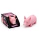 thumbnail image 2 of Juguete elástico de ventilación de cerdo, juguete de descompresión de cerdo, juguete rosa Afortunado Sencillez, 2 of 4