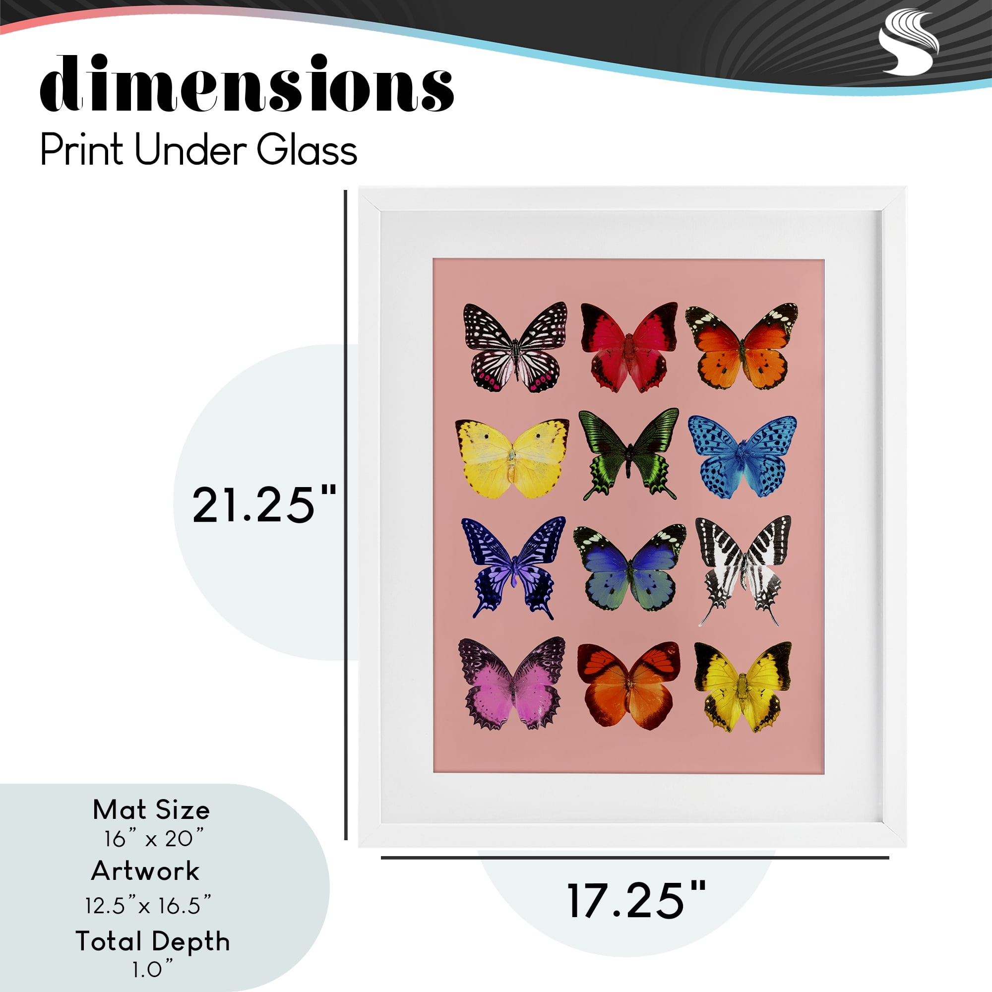Butterfly Species on Pink White Framed Print Under Glass, design by LISH Creative