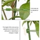 thumbnail image 5 of Yuarrent ABS Support Column Metal Sturdy Growth Flower Frame Rust-Proof Climbing For Long-Term Use Horticultural Climbing Jardín y Patio 60 vueltas altas y 22, 5 of 6
