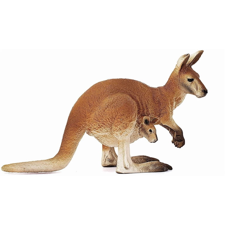 CollectA Red Kangaroo Male Figure - Realistic Animal Toy Model