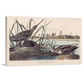 thumbnail image 1 of ARTCANVAS American Snipe Canvas Art Print by John James Audubon - Size: 26" x 18" (0.75" Deep), 1 of 9