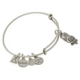 thumbnail image 2 of Alex and Ani Charity By Design - Owl Charm Bangle Bracelet - Rafaelian Silver - Expandable - CBD18OWL01RS, 2 of 2