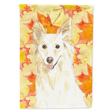 Carolines Treasures CK1819CHF Fall Leaves White Collie Flag Canvas House Size  Large multicolor