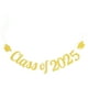 thumbnail image 1 of 1 juego de pancarta para fiesta de graduación de la clase de 2025, pancarta con temática de graduación, adorno colgante para fotos y decoración de pared., 1 of 7
