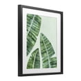 thumbnail image 3 of Stupell Industries Banana Leaf Tropics Black Framed Print Under Glass, design by Camila Juncos, 21 x 17, 3 of 10