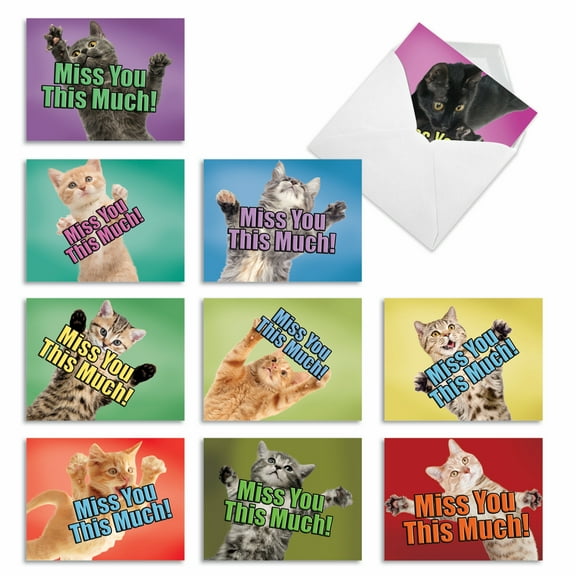 10 Miss You Note Cards Pack (4 x 5.12 Inch) - CAT MISS YOU THIS MUCH
