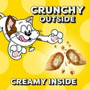 Temptations Indoor Care Chicken Flavor Crunchy and Soft Cat Treats, 4.9 oz Pouch