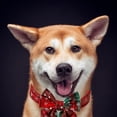 thumbnail image 4 of Gorro navideño para perro-collar verde con lazo grande-L, 4 of 5
