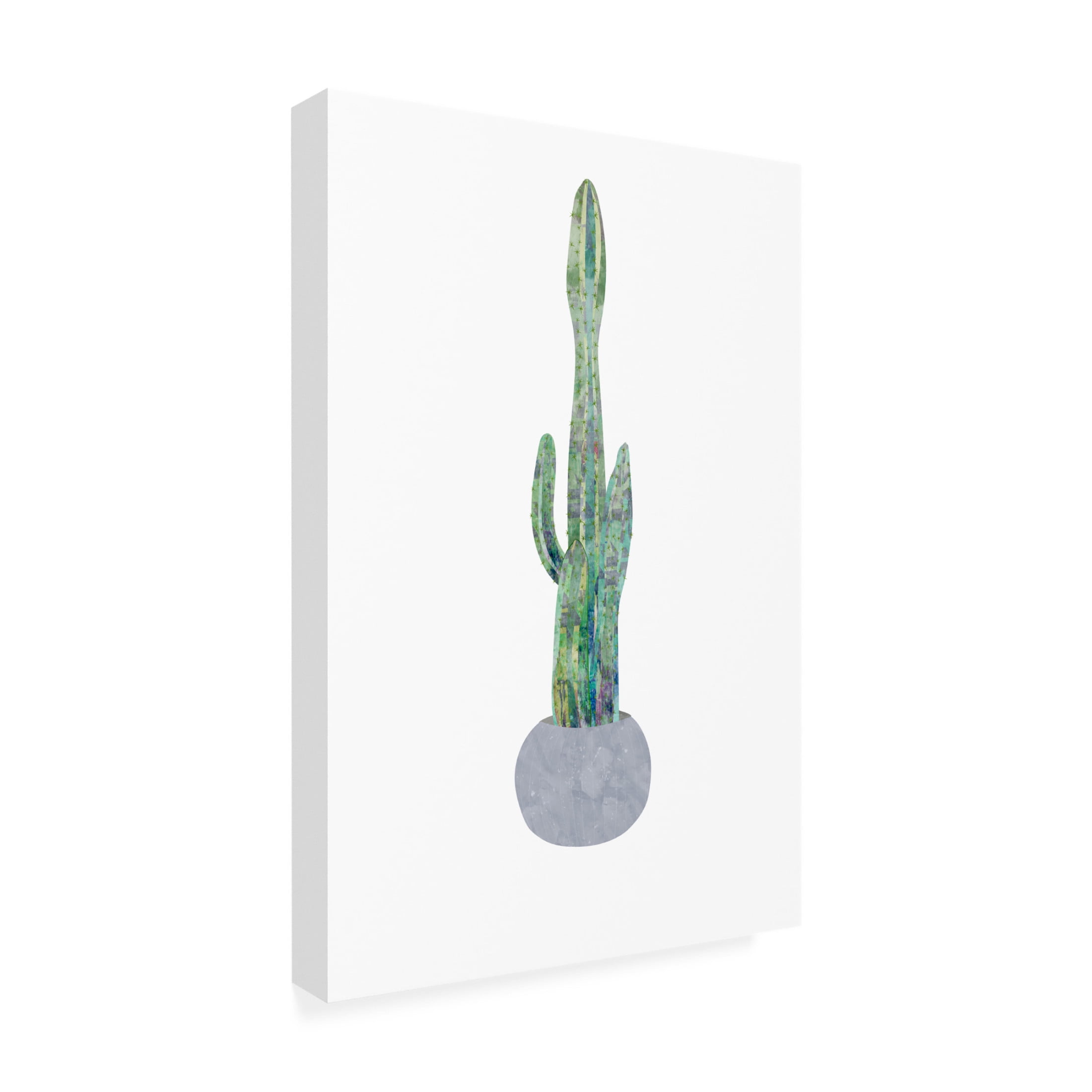 Trademark Fine Art Sarah Manovski  Boho scandi cactus 2 Canvas Wall Art