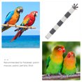 thumbnail image 4 of Parrot Perch Bird Cage Parrot Standing Stick Bite-resistant Parrot Perch Stick Parrot Scratching Stick, 4 of 9