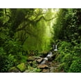 thumbnail image 2 of ABPHOTO Polyester 7x5ft Photography Backdrops Fairy Tale Mysterious Forest Path Scene Seamless Newborn Baby Children Adults Portraits Photo Background Photo Studio Props, 2 of 3