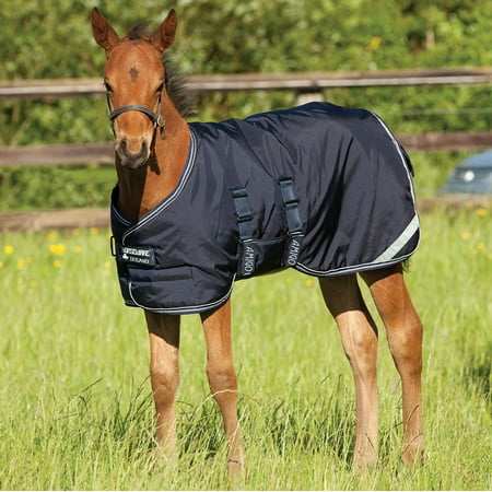 UPC: 0649982107675 | Horseware Ireland Amigo Foal Blanket Turnout 200g Fig/Tan 42/48