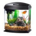 thumbnail image 1 of Aqueon LED MiniBow 1 - Black - 1 gal AAQ100543585, 1 of 4
